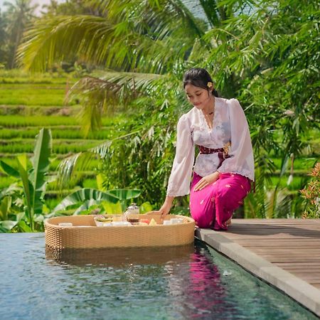 Padi Luwih Villa Ubud Eksteriør billede