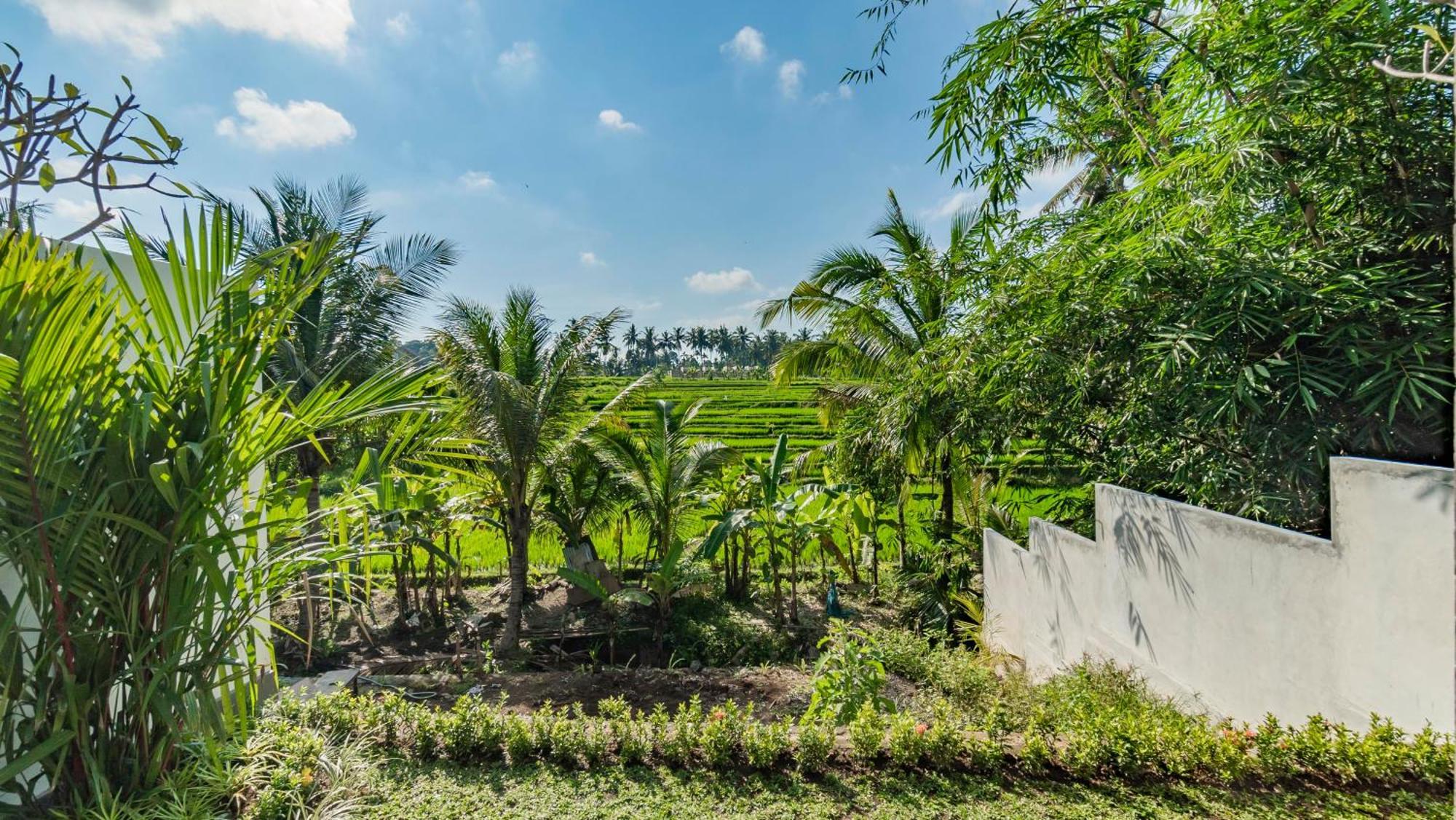 Padi Luwih Villa Ubud Eksteriør billede