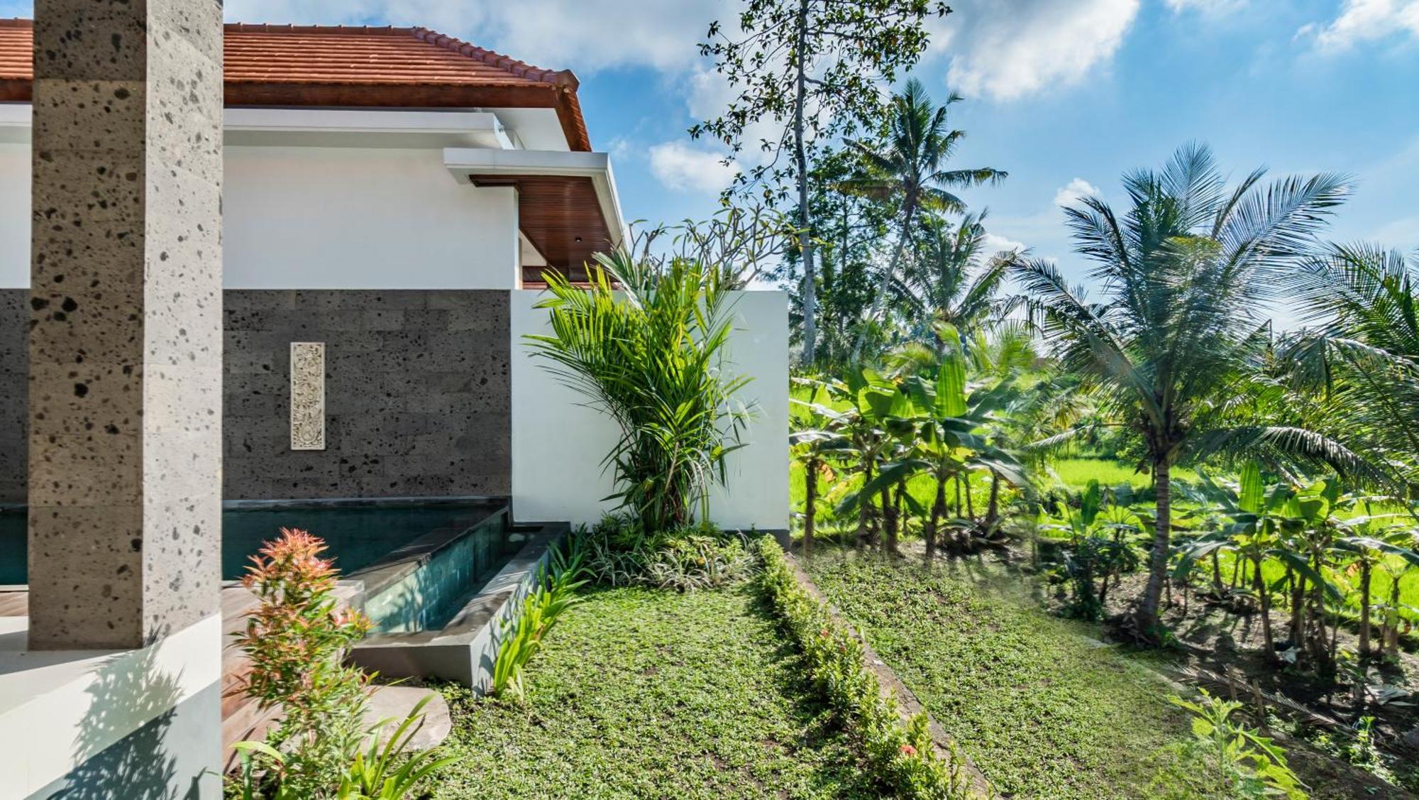 Padi Luwih Villa Ubud Eksteriør billede