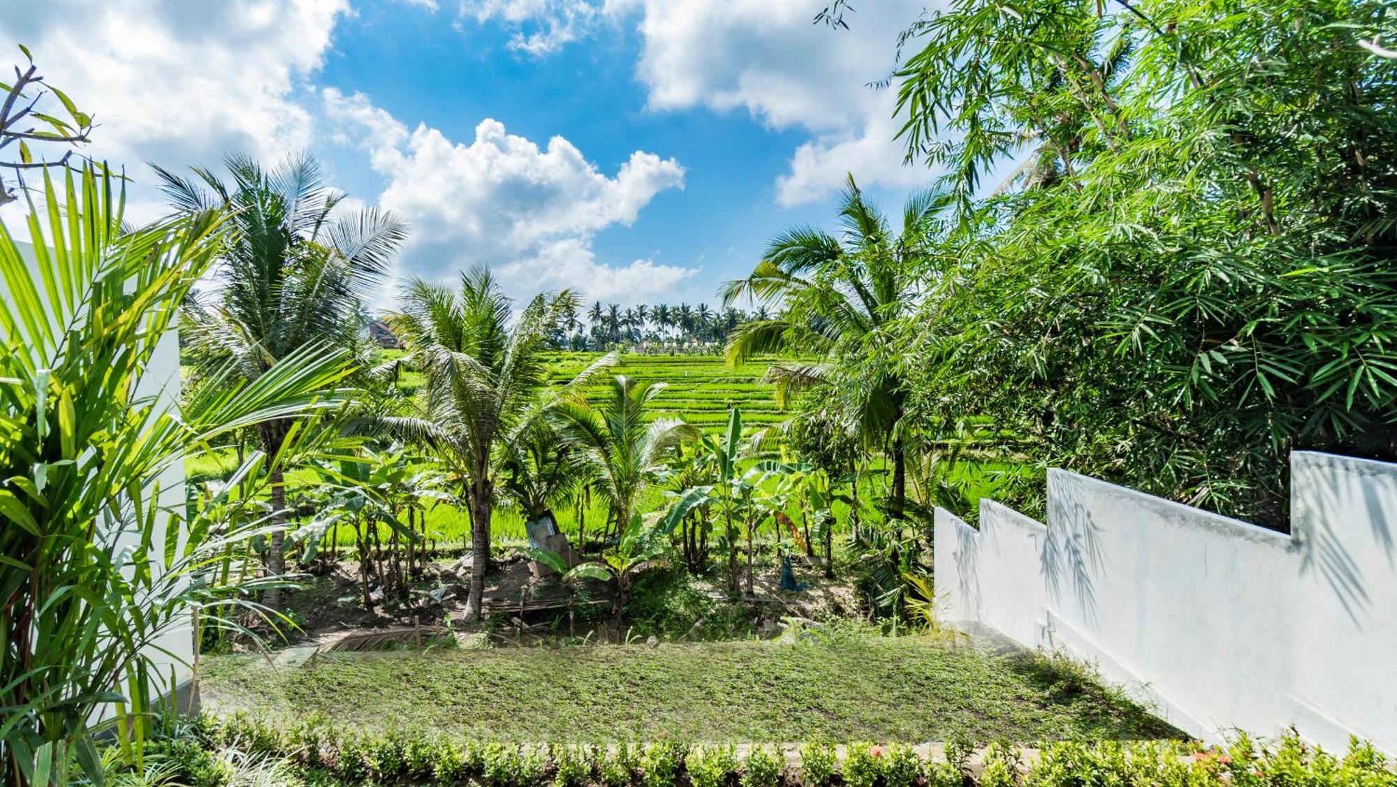 Padi Luwih Villa Ubud Eksteriør billede